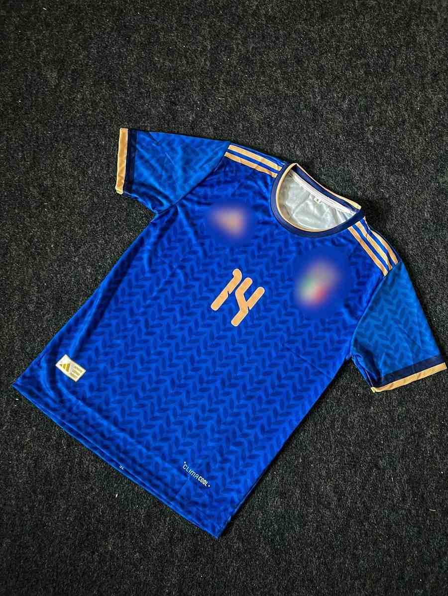  Federico Chiesa Italy  Home Kit 2025-26, Round Neck & Half Sleeve (AP Sports Wear)